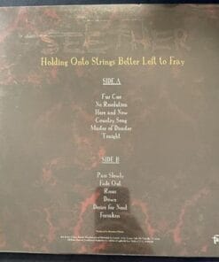 Seether Holding Onto Strings Better Left To Fray Tiger’s Eye Vinyl LP Record - Image 2
