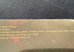 Seether Holding Onto Strings Better Left To Fray Tiger’s Eye Vinyl LP Record - Image 4