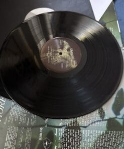 Shore by Fleet Foxes (Record, 2021) crystal clear record with etching and poster - Image 5