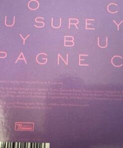 Blood Orange Coastal Grooves Vinyl LP 12” Domino Records Indie R&B Album - Image 4