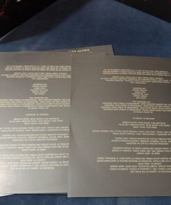 Queens Of The Stone Age In Times New Roman Vinyl LP 2023 Record - Image 6