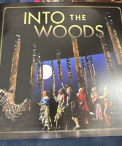 Into The Woods 2022 Broadway Cast Recording 2LP Vinyl Stephen Sondheim - Image 7