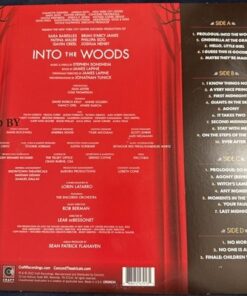 Into The Woods 2022 Broadway Cast Recording 2LP Vinyl Stephen Sondheim - Image 10