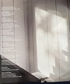 Dave Gahan & Soulsavers Imposter LP Vinyl Record Columbia 2021 - Image 5