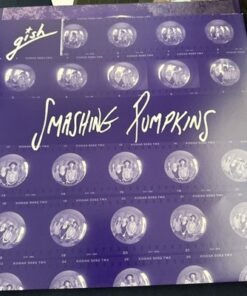 Smashing Pumpkins Gish LP Vinyl Record 2011 Virgin Reissue 180g - Image 6