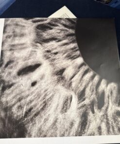 Arcade Fire WE Vinyl LP Album 2022 Indie Rock Columbia Record 12 - Image 6