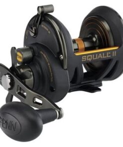 Penn Fathom FTH30 Conventional Fishing Reel 6.0:1 Gear Ratio