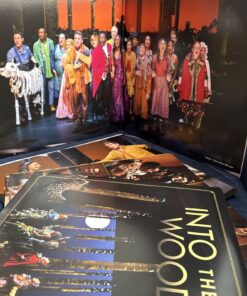Into The Woods 2022 Broadway Cast Recording 2LP Vinyl Stephen Sondheim