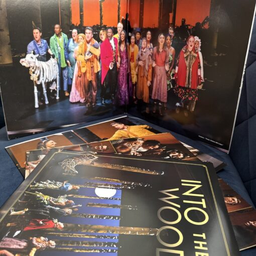 Into The Woods 2022 Broadway Cast Recording 2LP Vinyl Stephen Sondheim